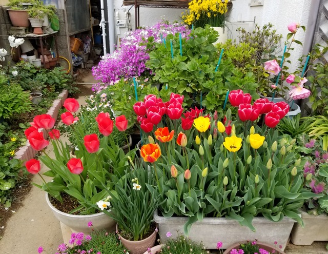 20190414_120331-3024x2268