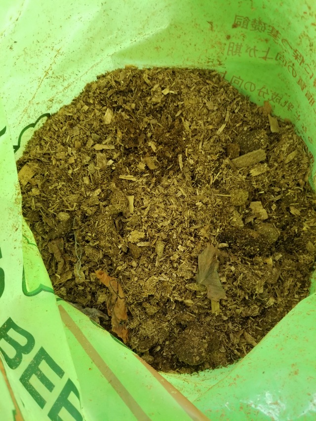 20210105_075045_copy_2268x3024