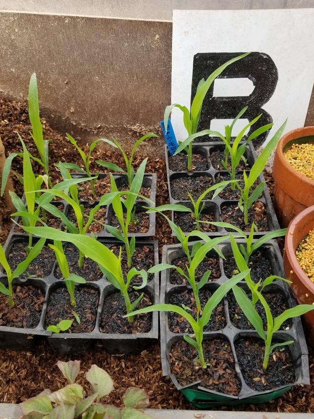 20240326_094327_copy_2268x3024