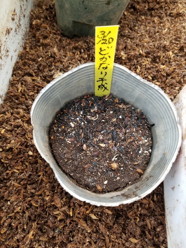 20220322_081009_copy_2268x3024