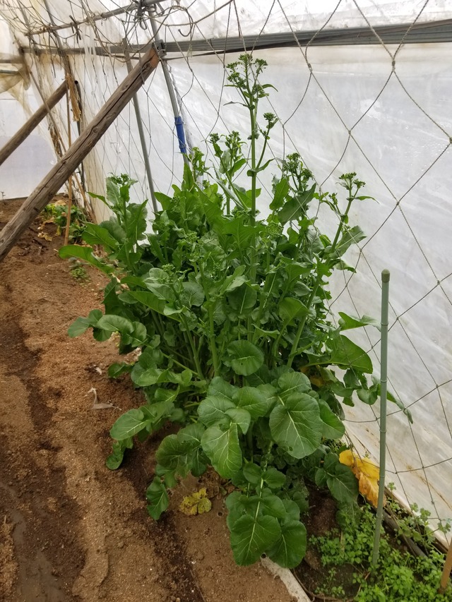 20240404_075912_copy_2268x3024