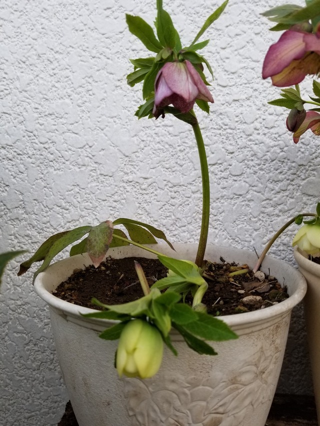 20230304_161622_copy_1209x1612