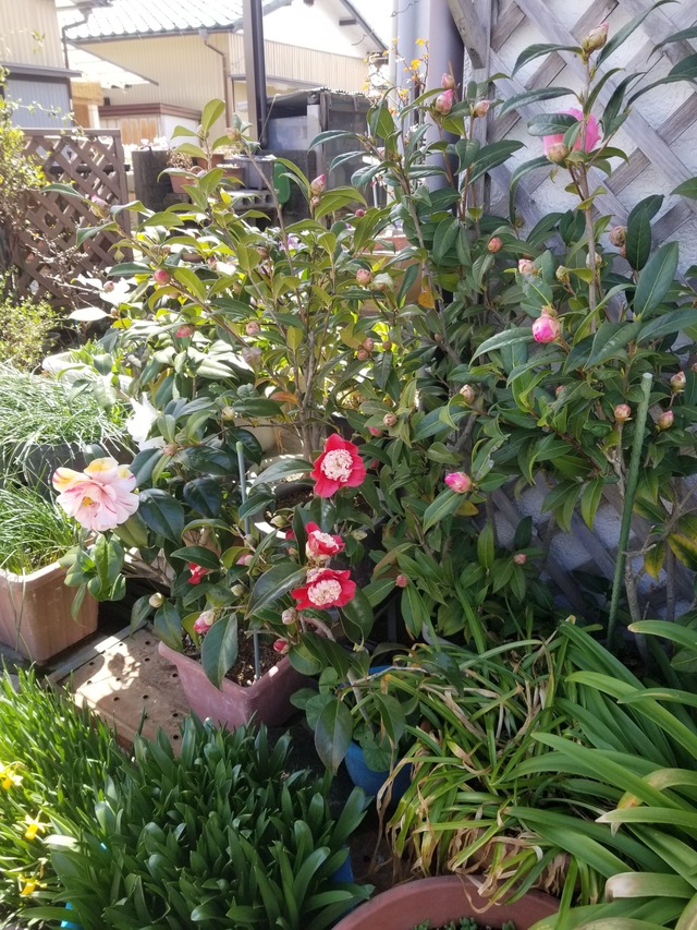 20220319_121404_copy_2268x3024