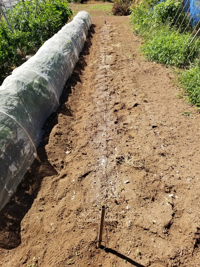 20210806_091359_copy_2268x3024