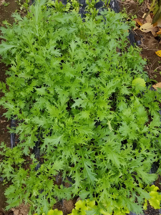 20201108_095552_copy_2268x3024