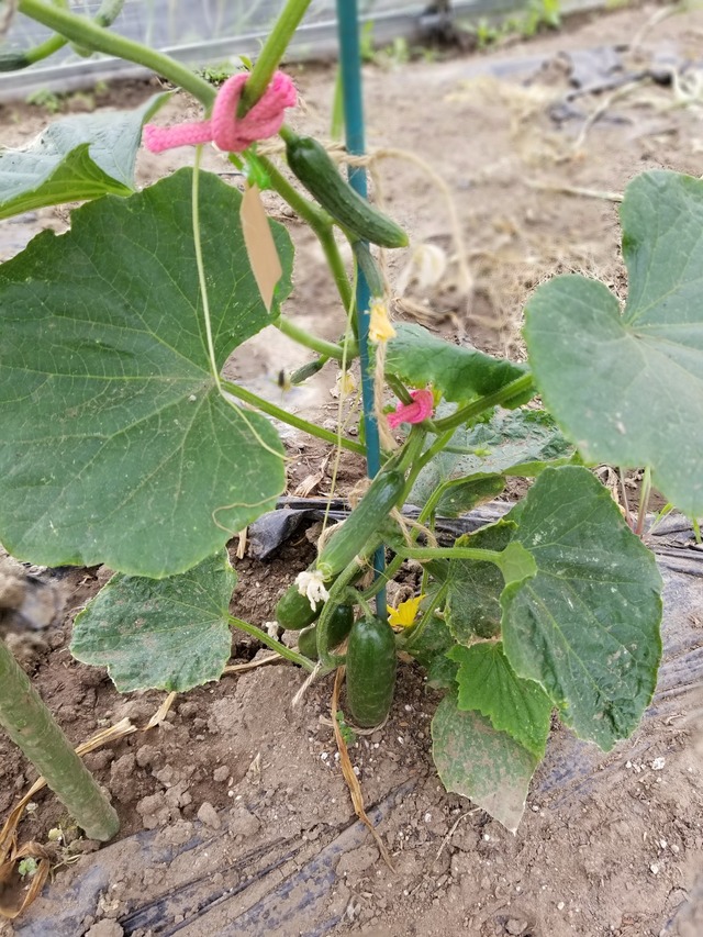 20230513_144312_copy_1512x2016