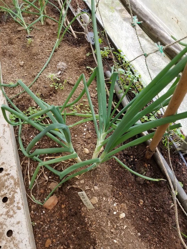 20221206_100728_copy_2268x3024