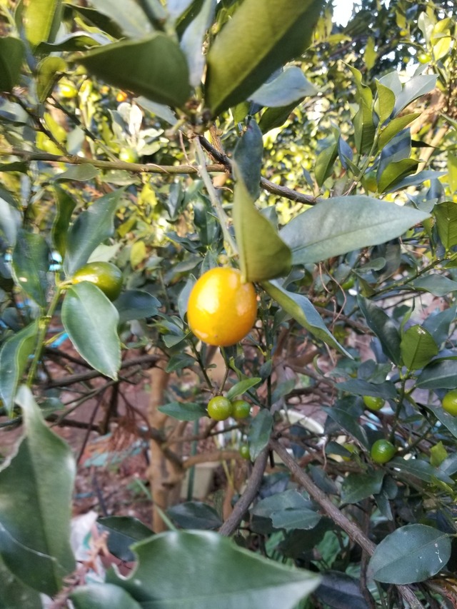 20231218_150134_copy_1512x2016