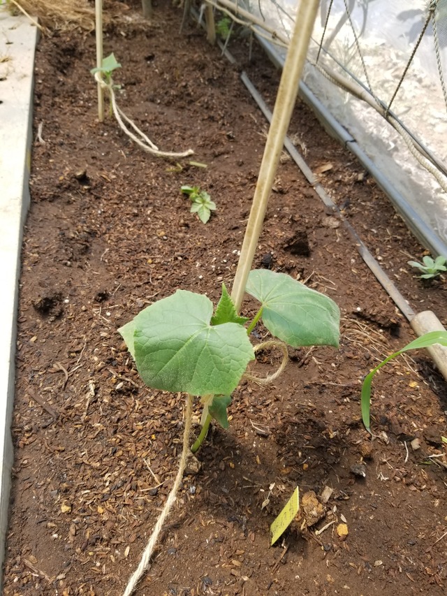 20230724_103934_copy_1512x2016