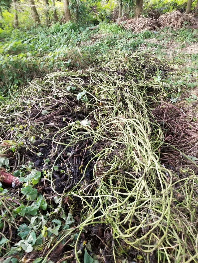 20221024_145653_copy_1512x2016