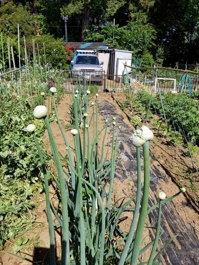 20190516_083914-1620x2160