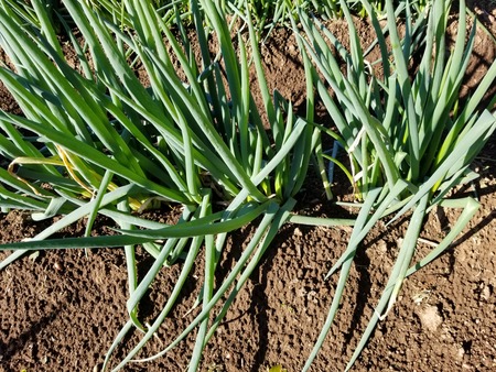 20191229_090921-3024x2268