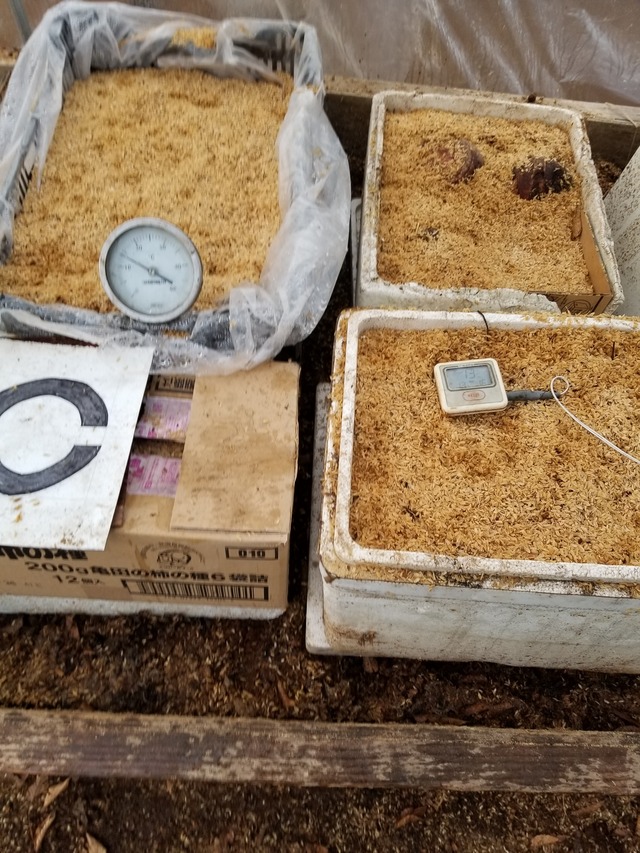 20210105_075209_copy_2268x3024