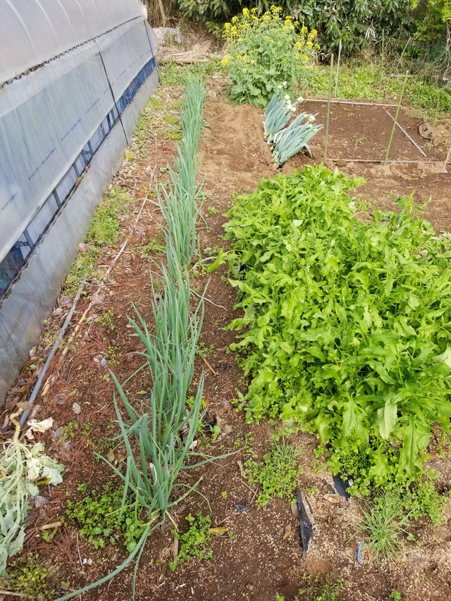 20230401_074839_copy_1512x2016