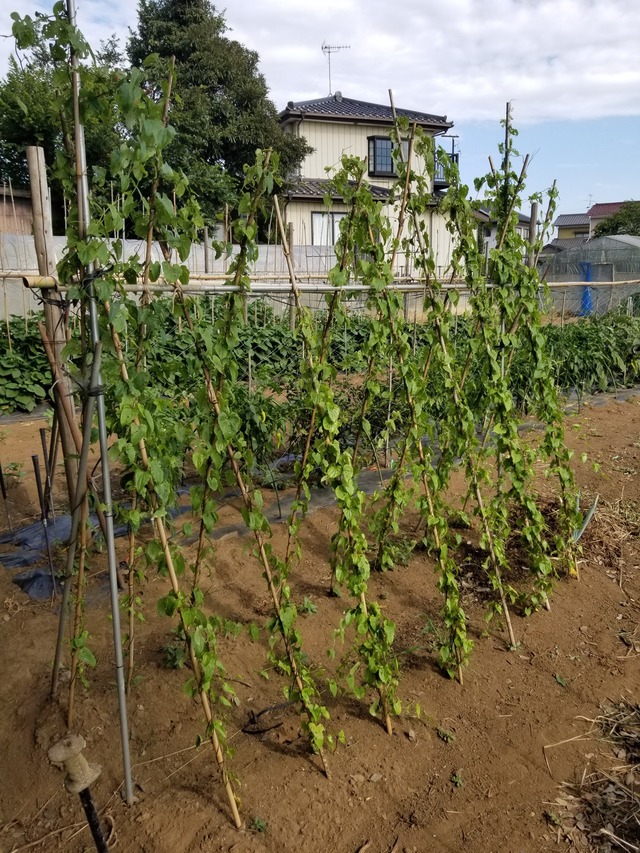 20230721_152922_copy_1512x2016