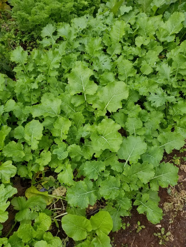 20201108_095651_copy_2268x3024