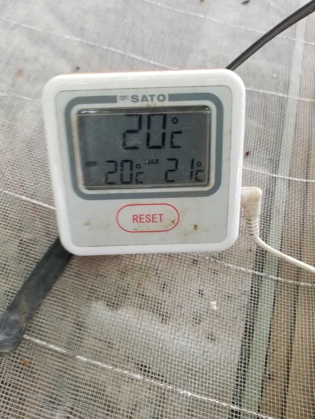 20230708_090256_copy_1512x2016