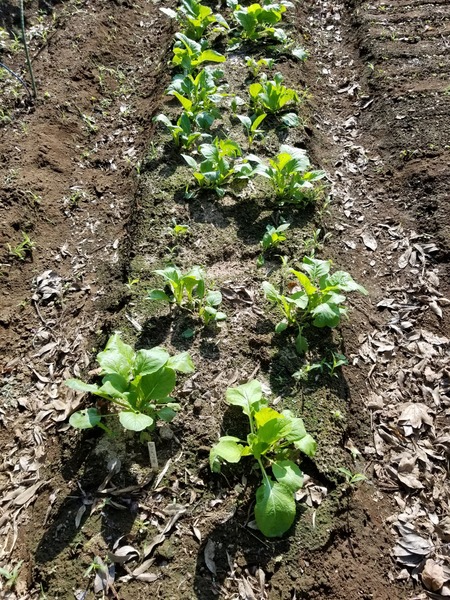 20190927_084140-1620x2160