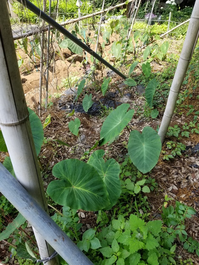 20210615_085800_copy_2268x3024