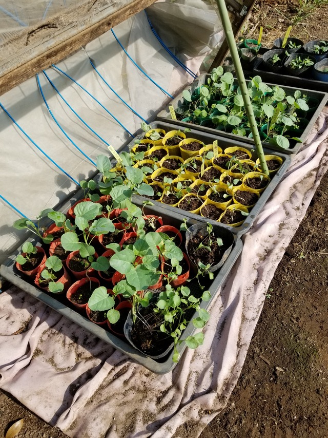 20210830_074342_copy_2268x3024