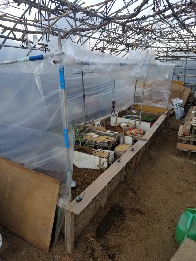 20240110_095720_copy_1512x2016