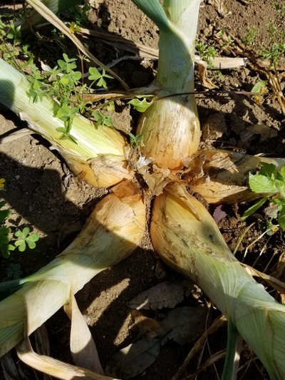 20190516_083940-1620x2160