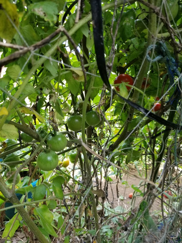 20210803_084340_copy_2268x3024