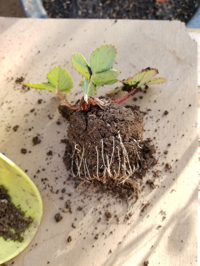 20230104_082927_copy_2268x3024