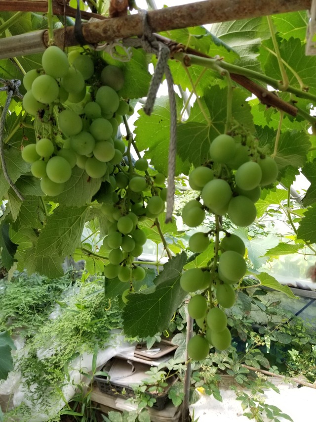 20220711_075815_copy_1512x2016