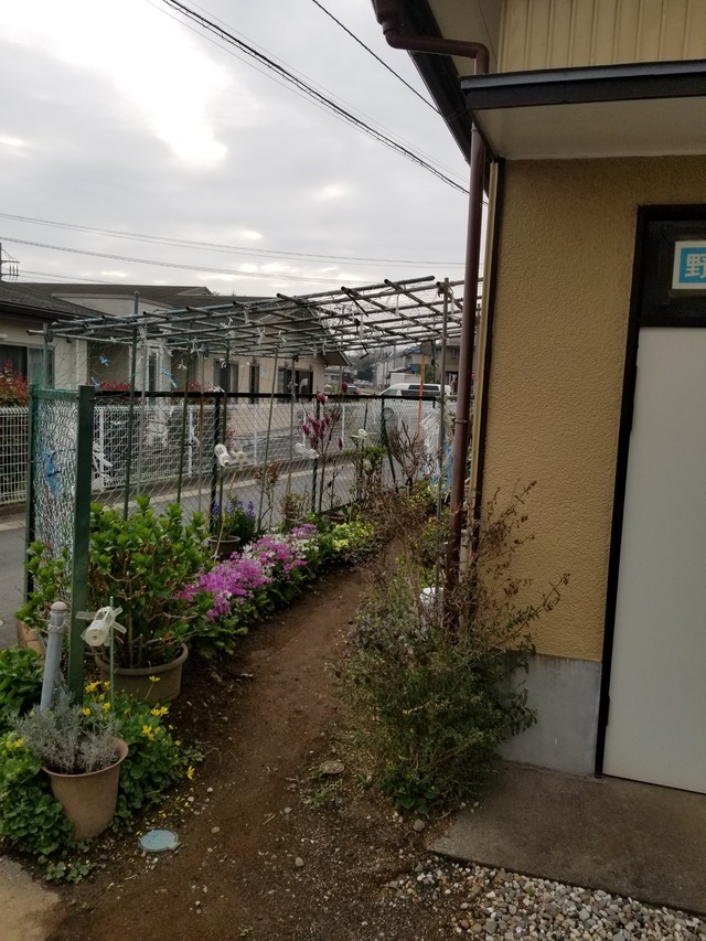 20220330_065132_copy_2268x3024