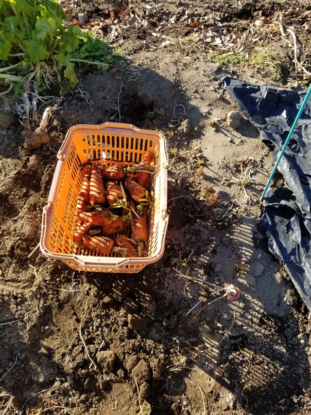 20220218_084512_copy_2268x3024