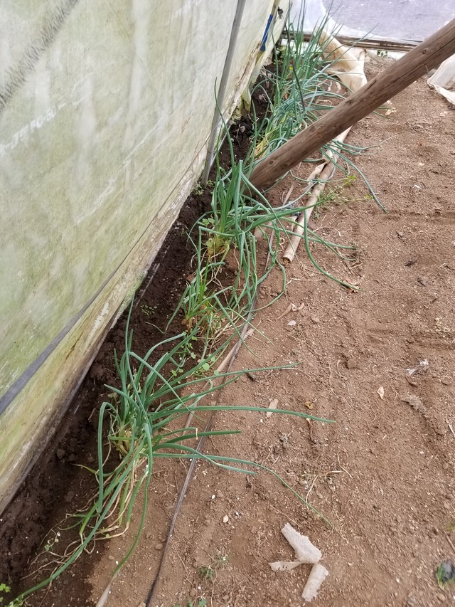 20221206_100800_copy_2268x3024