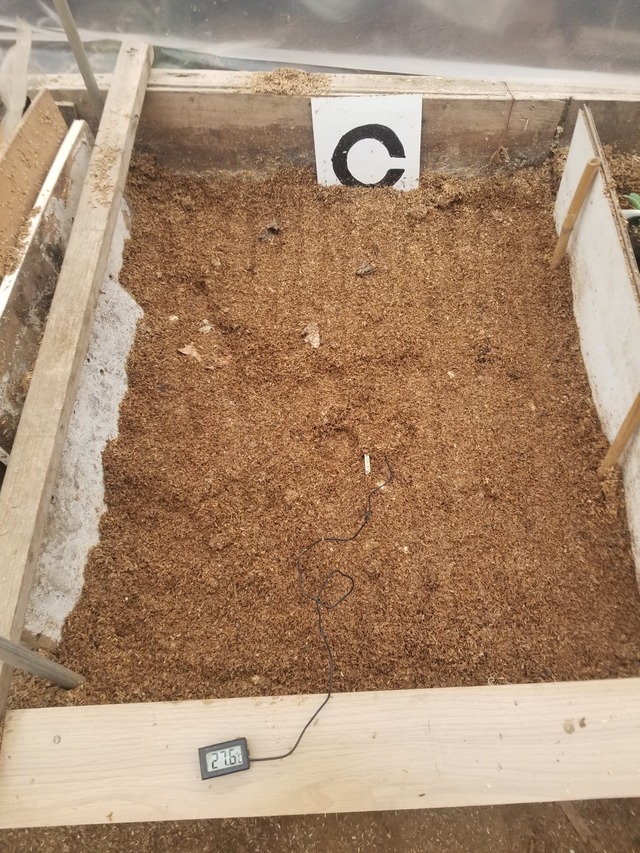 20240111_074302_copy_1512x2016