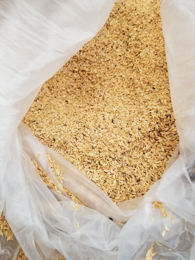 20210105_074931_copy_2268x3024