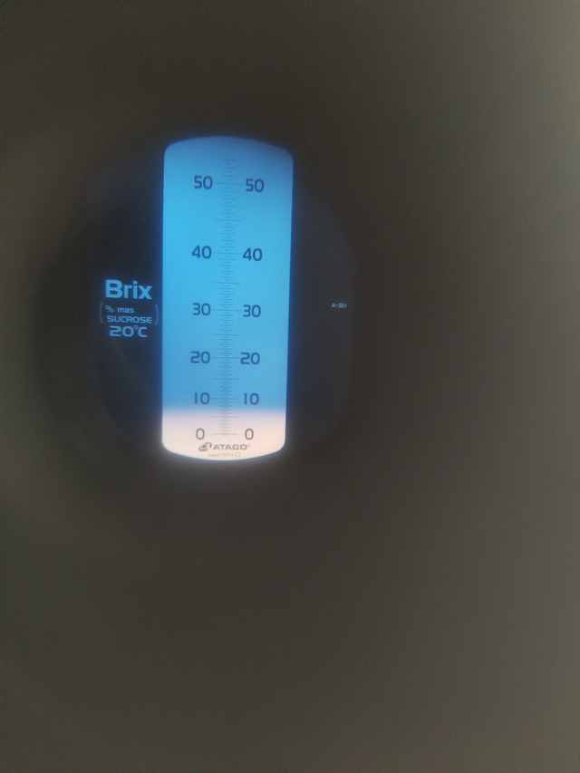 20210605_075439_copy_2268x3024