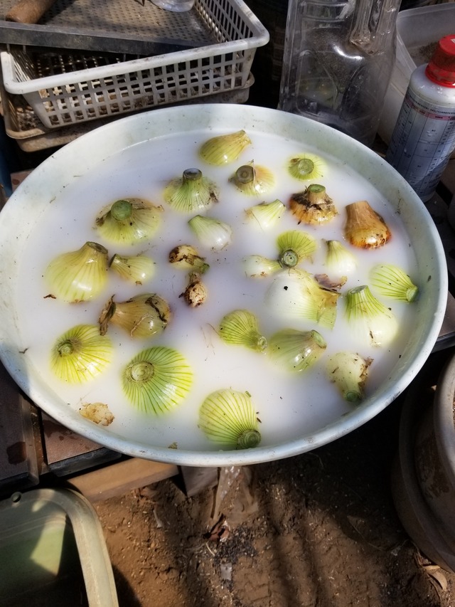 20240321_111038_copy_2268x3024