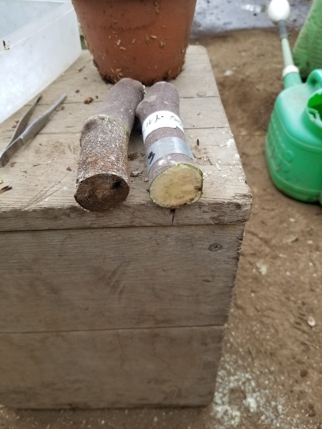 20240326_093233_copy_2268x3024