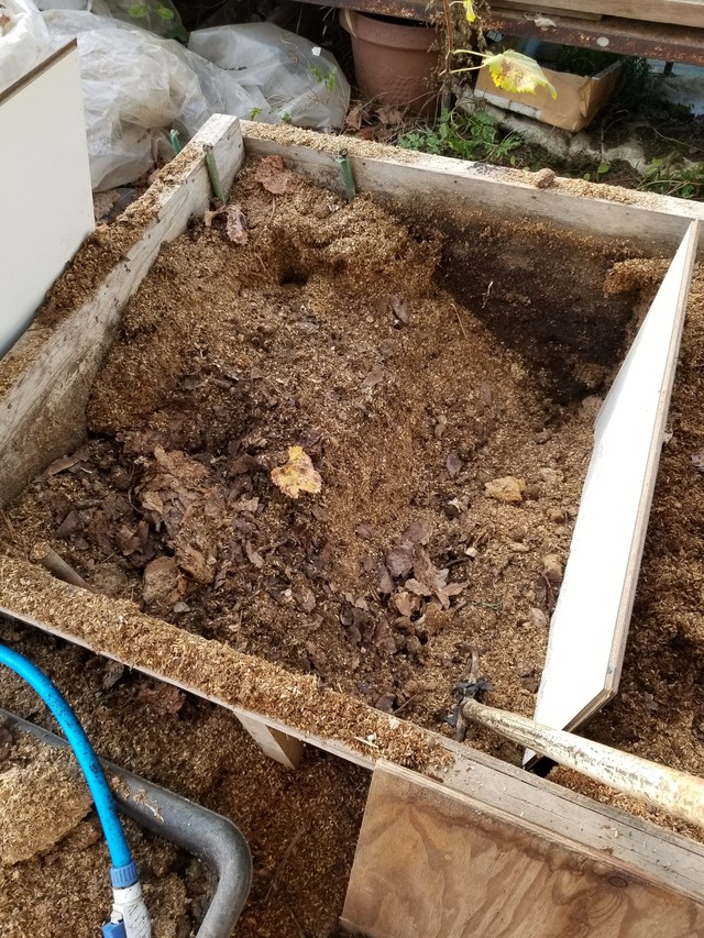 20201116_080503_copy_2268x3024