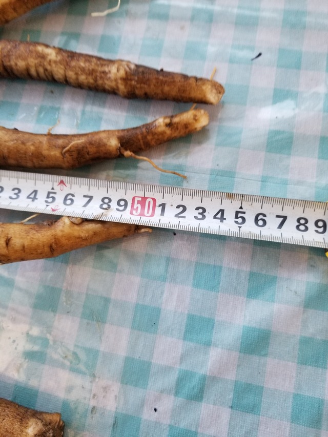 20211218_140725_copy_2268x3024