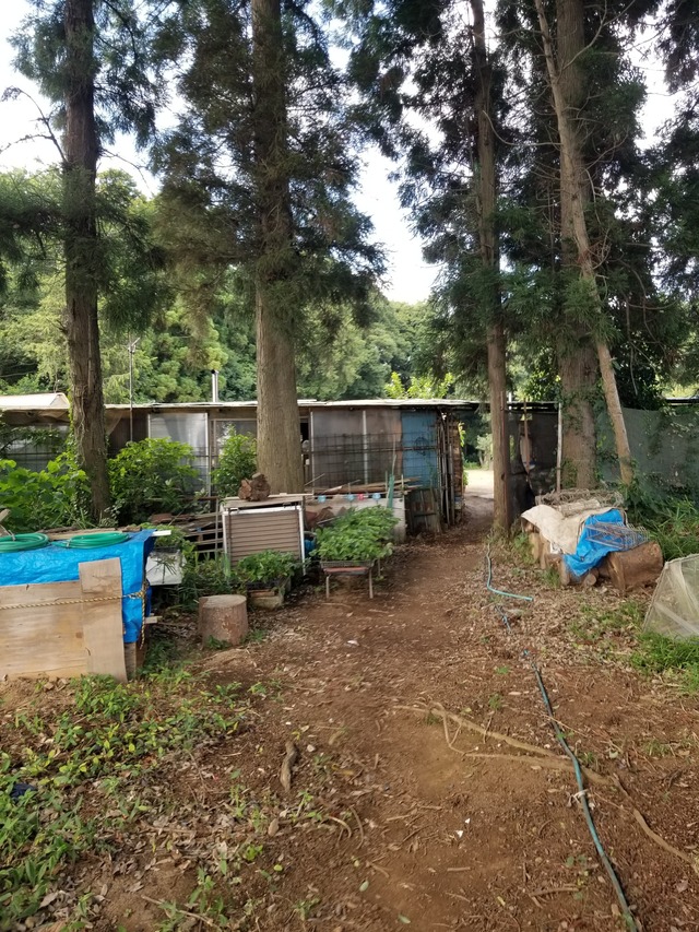 20230721_152539_copy_1512x2016