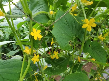 20190822_074637-2160x1620