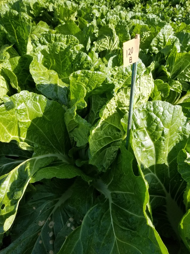 20221107_094137_copy_1512x2016