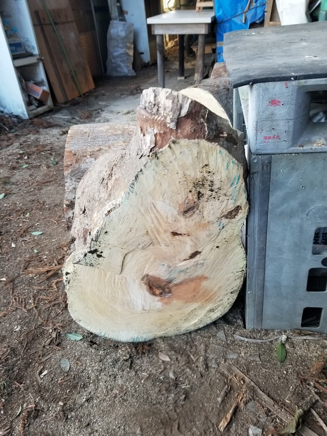 20230125_150423_copy_1512x2016