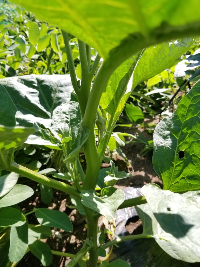 20230730_152932_copy_1512x2016