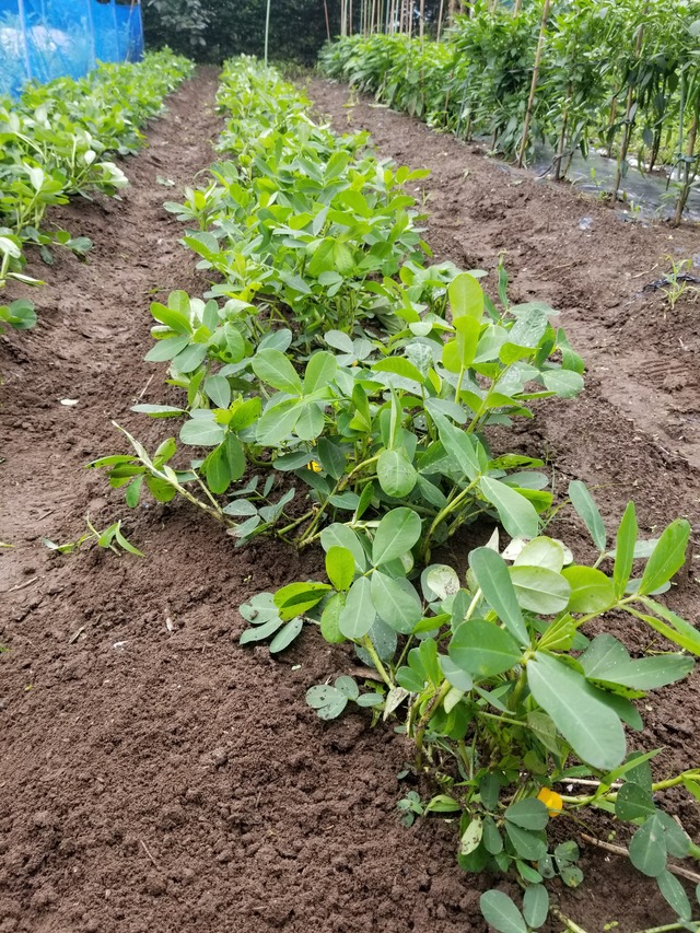 20210706_081223_copy_2268x3024