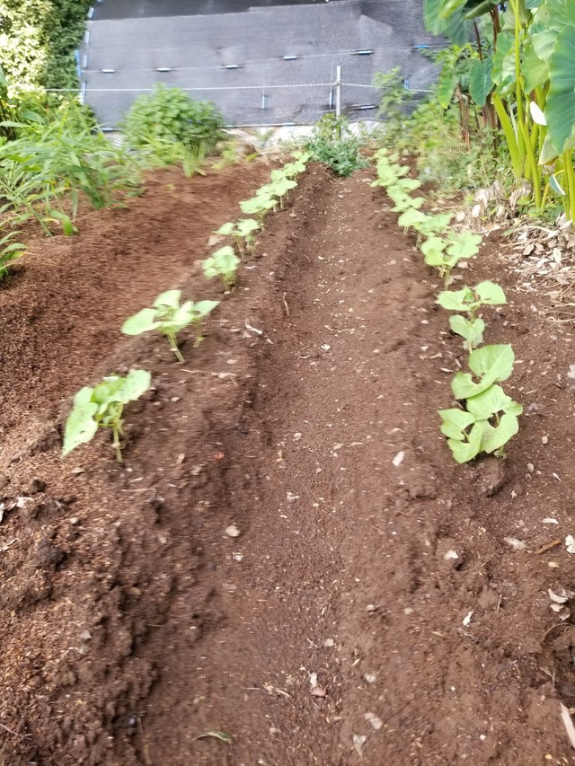 20230802_072708_copy_1512x2016