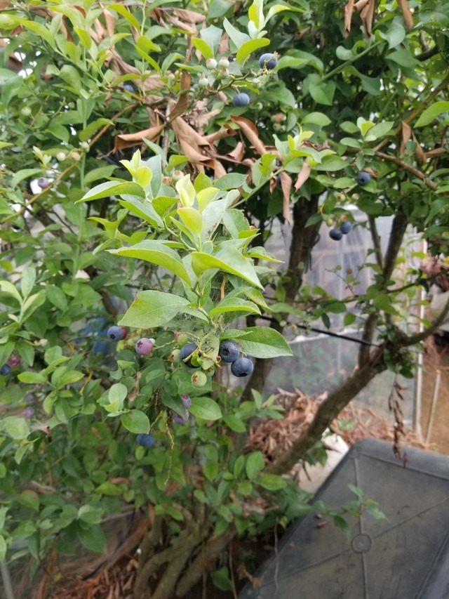 20230703_083203_copy_1512x2016