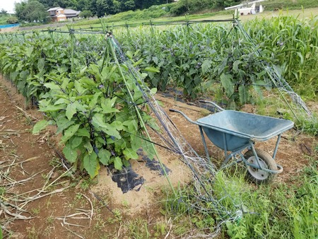 20190731_093259-2160x1620