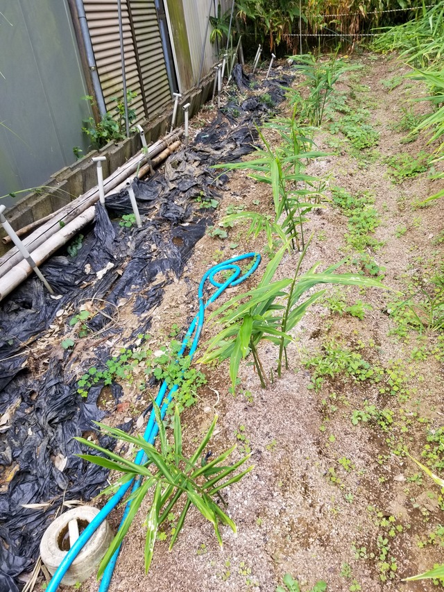 20210925_141206_copy_2268x3024