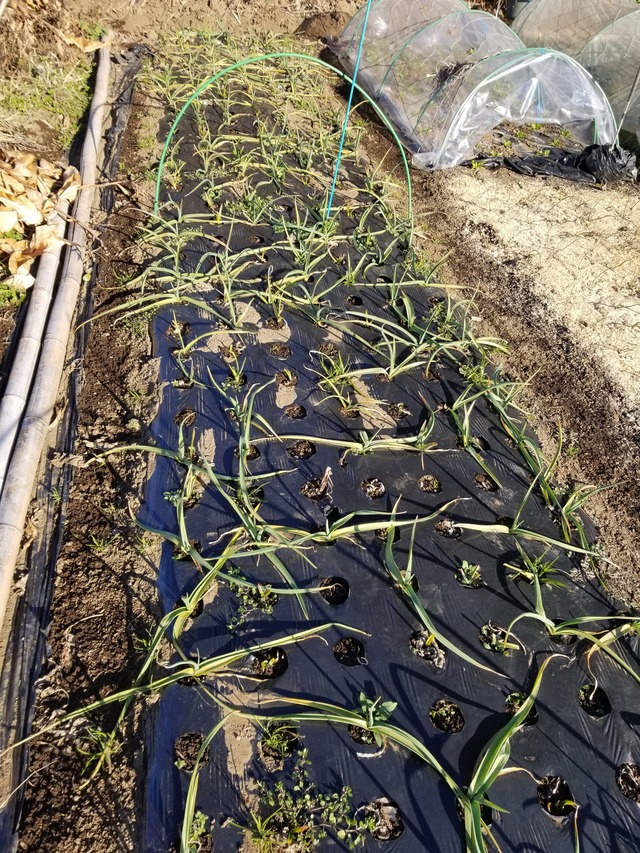 20211230_091413_copy_2268x3024